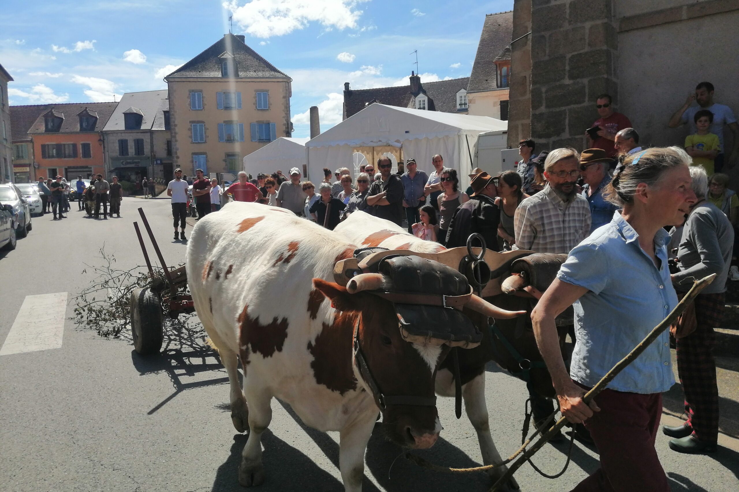 Rassemblement des Bouvières et Bouviers à Chatelus-Malvaleix